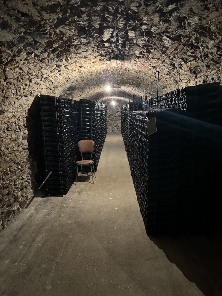 Grower champagne from avize.