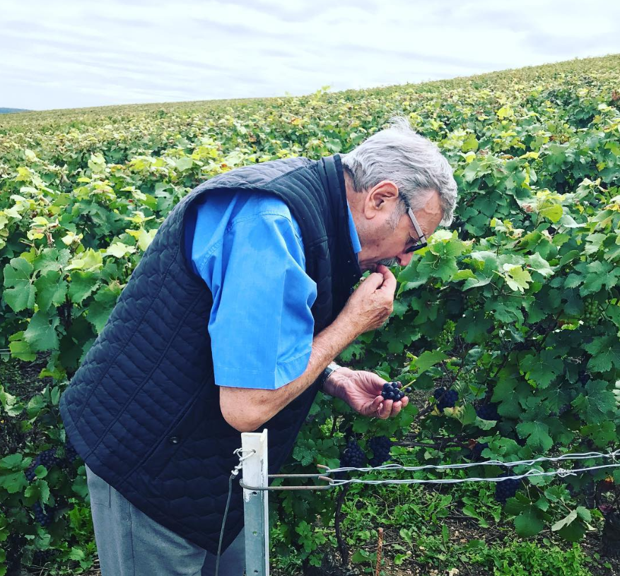 José Michel Grand vintage 2014